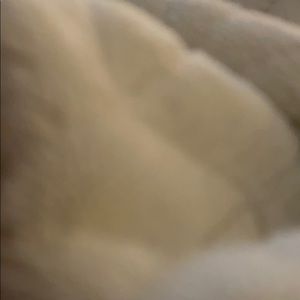 Meet your Posher, Abigail